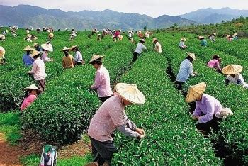 Top 10+ Biggest & Most Beautiful Farms in the World.